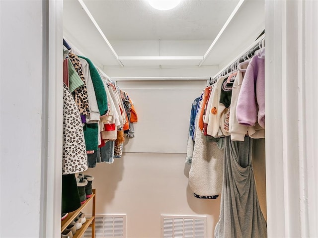 view of spacious closet