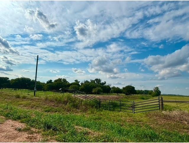 view of yard featuring a rural view