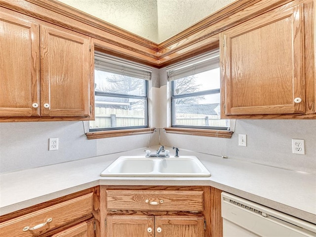 kitchen featuring sink and white dishwasher