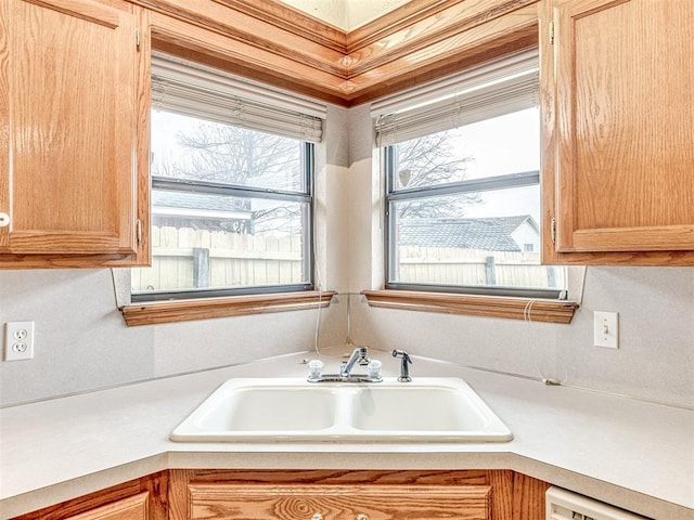 kitchen with sink, light brown cabinets, and dishwashing machine