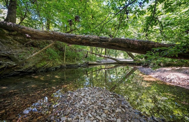 view of nature