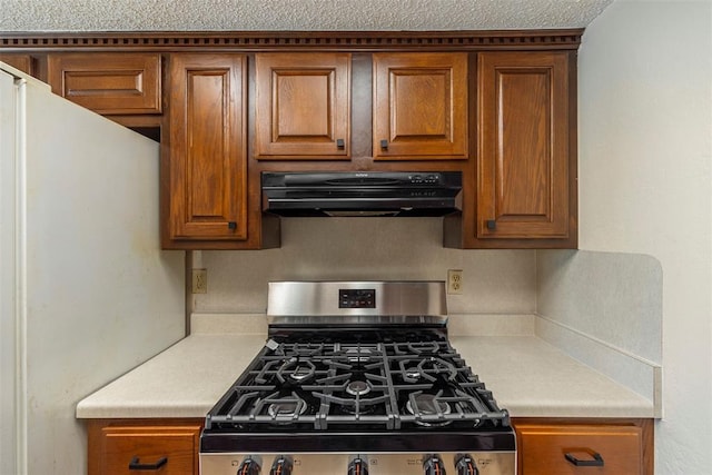 kitchen featuring ventilation hood and stainless steel gas range