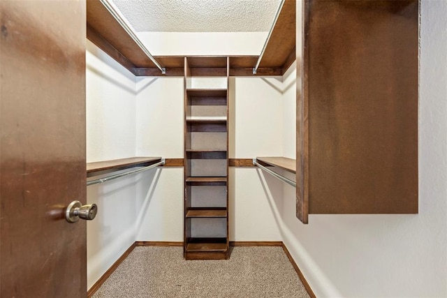 spacious closet with light carpet