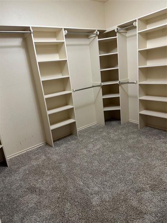 walk in closet with dark carpet