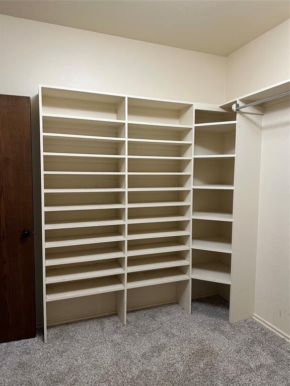 spacious closet with carpet floors