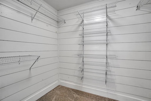 spacious closet with carpet floors