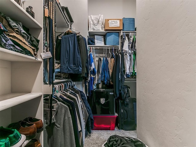 walk in closet with carpet flooring