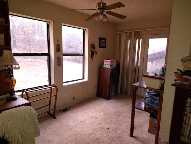 carpeted bedroom featuring multiple windows and a textured ceiling