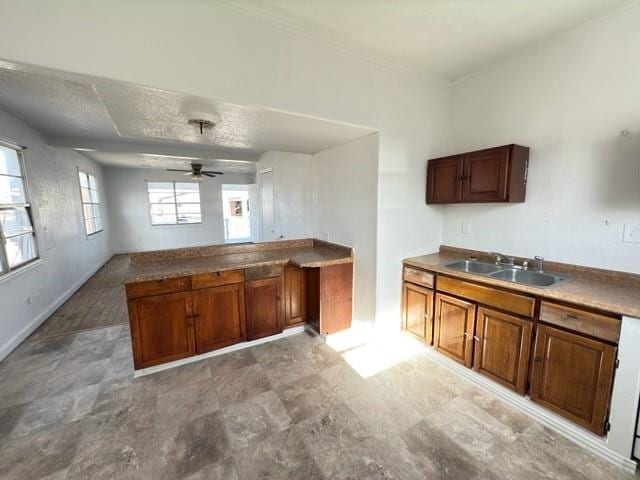 kitchen featuring sink and ceiling fan