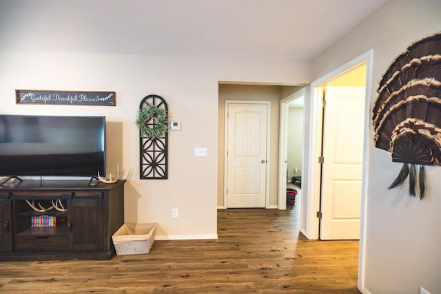 living room with wood-type flooring