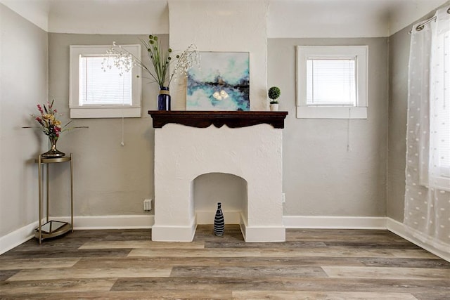 interior details featuring hardwood / wood-style floors