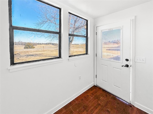 entryway featuring dark wood-type flooring