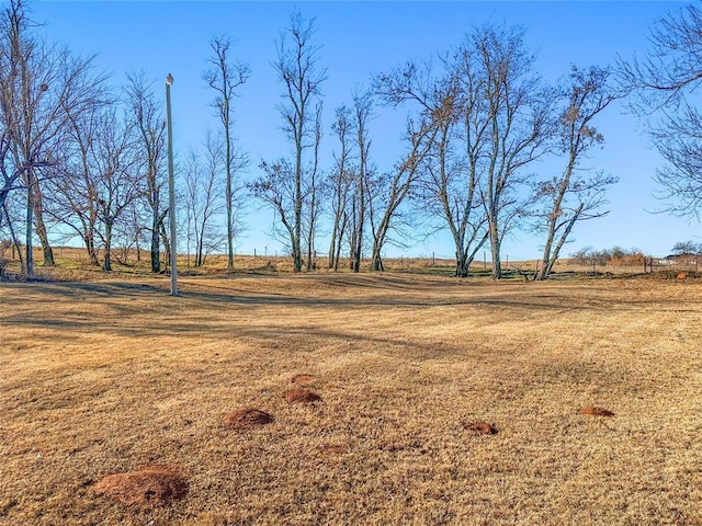 view of yard with a rural view