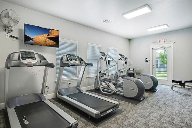 exercise room featuring carpet floors