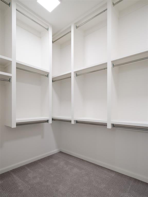 walk in closet with carpet flooring