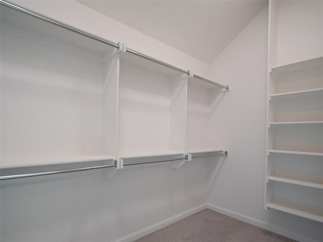 spacious closet featuring carpet