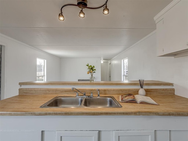 kitchen featuring sink, ornamental molding, and white cabinets