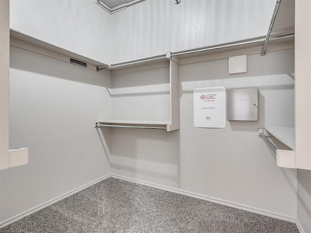 spacious closet featuring carpet floors