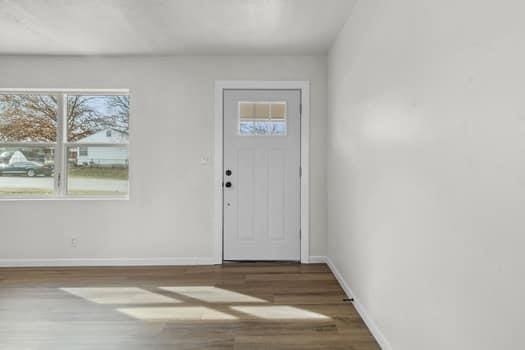 entrance foyer featuring wood-type flooring