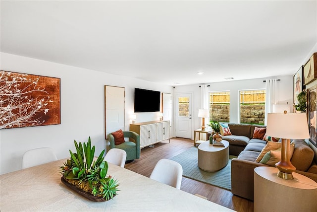 living room with wood-type flooring