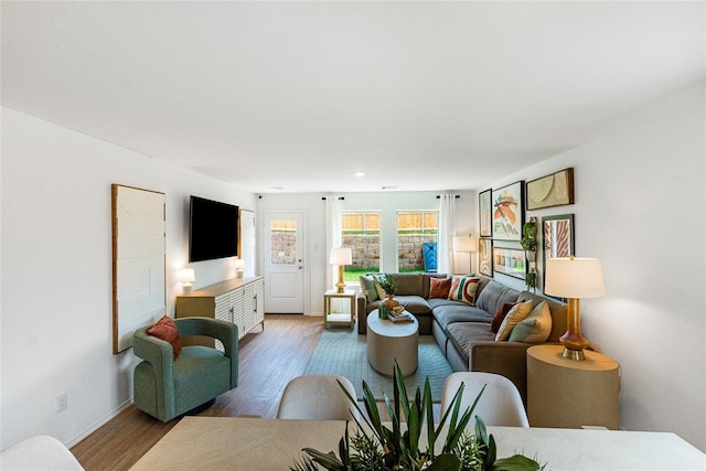 living room with wood-type flooring