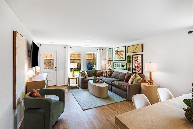 living room featuring hardwood / wood-style flooring