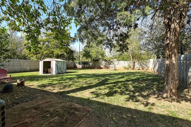 view of yard featuring a storage shed