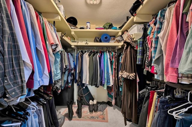 spacious closet featuring carpet floors