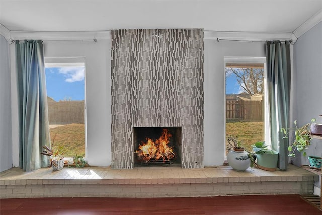 room details with crown molding and a fireplace