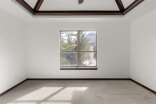 spare room featuring crown molding, light carpet, and a tray ceiling