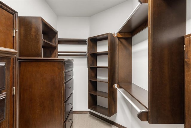 view of walk in closet