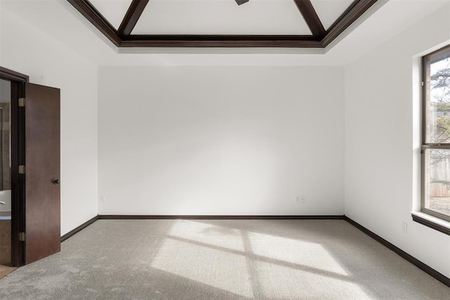 carpeted empty room featuring ornamental molding and a raised ceiling