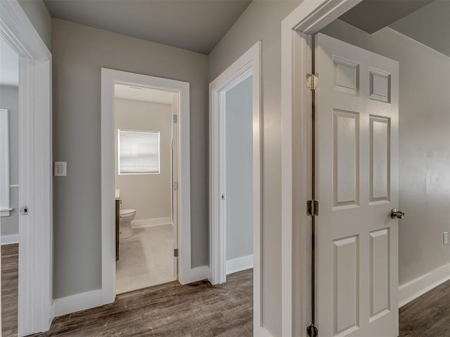 hall with dark wood-type flooring