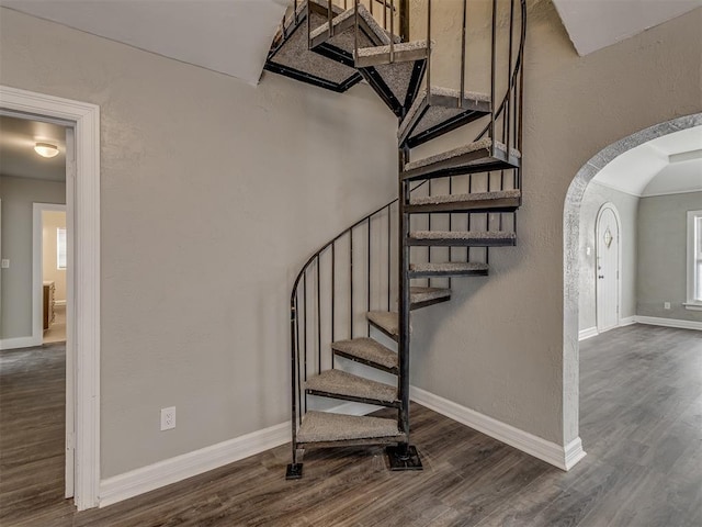 stairs with hardwood / wood-style floors