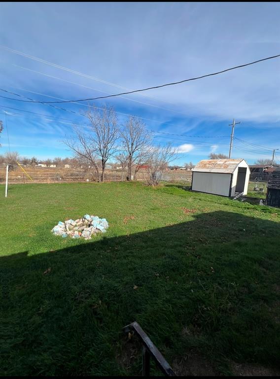 view of yard with a shed