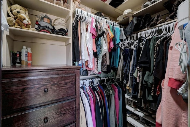 view of spacious closet