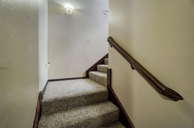 stairway with carpet floors