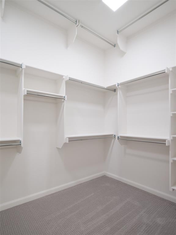 spacious closet featuring carpet
