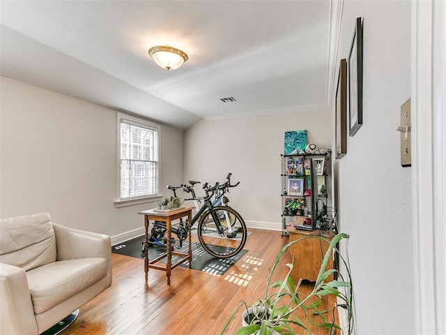 living area featuring hardwood / wood-style flooring and lofted ceiling