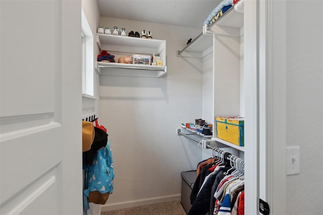 spacious closet featuring carpet