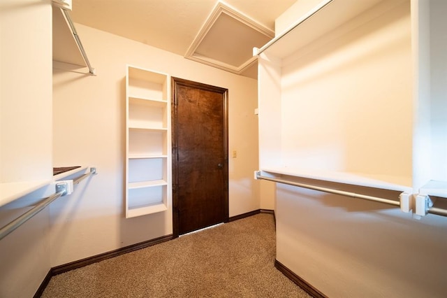 walk in closet with carpet flooring