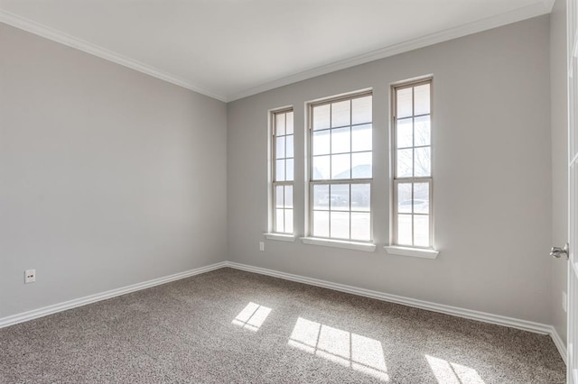 empty room with carpet floors and ornamental molding