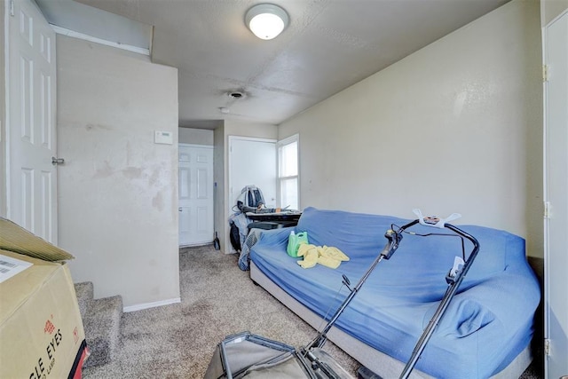 bedroom featuring carpet