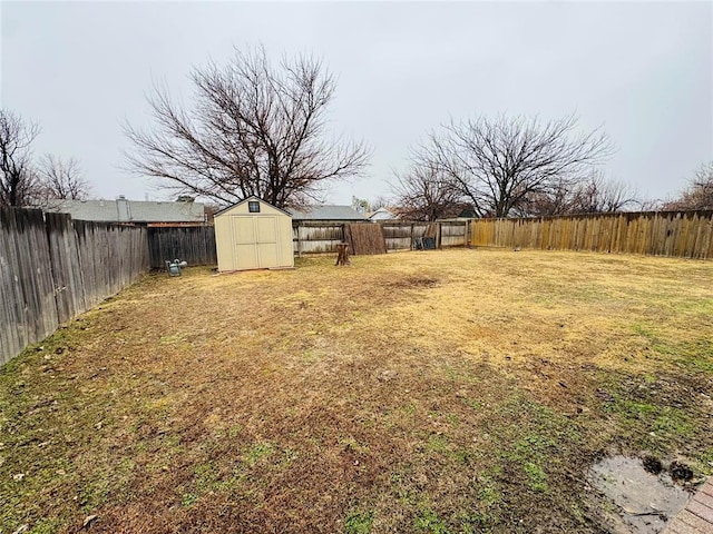 view of yard with a storage unit