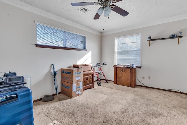 interior space featuring ceiling fan, ornamental molding, and a textured ceiling