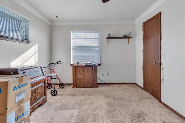 misc room featuring ornamental molding, light colored carpet, and a textured ceiling