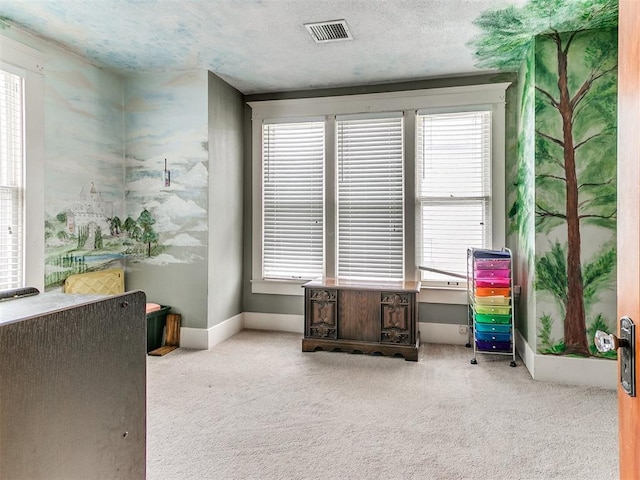 interior space with plenty of natural light, carpet, and a textured ceiling