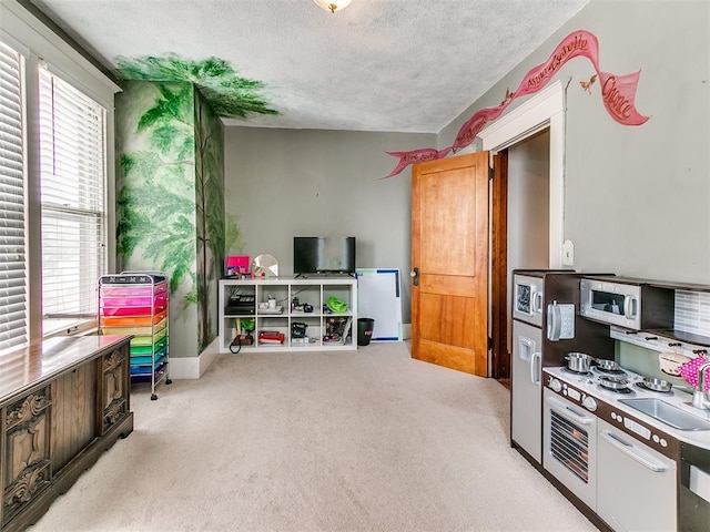 rec room with sink, light colored carpet, and a textured ceiling