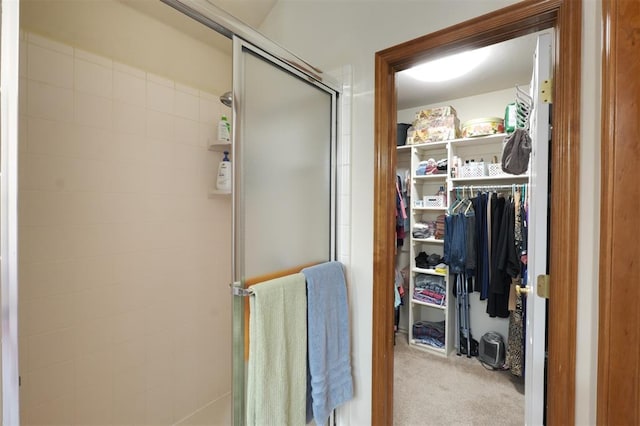 bathroom featuring a shower with door