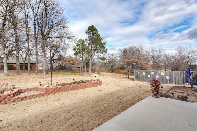 view of yard featuring a patio area